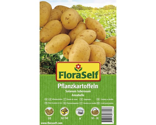 Pflanzkartoffeln FloraSelf Solanum tuberosum 'Annabelle' 10 Stk.