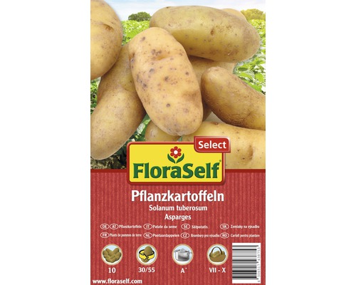 Pflanzkartoffeln FloraSelf Solanum tuberosum 'Asparges' 10 Stk.