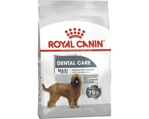 Royal Canin Dental Care Maxi nourriture pour chiens pour réduire la formation de tartre