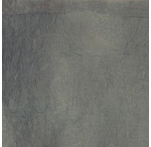 Dalle de terrasse FLAIRSTONE en grès cérame fin Luna Silver bords rectifiés  100 x 50 x 2 cm - HORNBACH Luxembourg