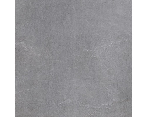 Carreau de sol gris avec motif de pierre