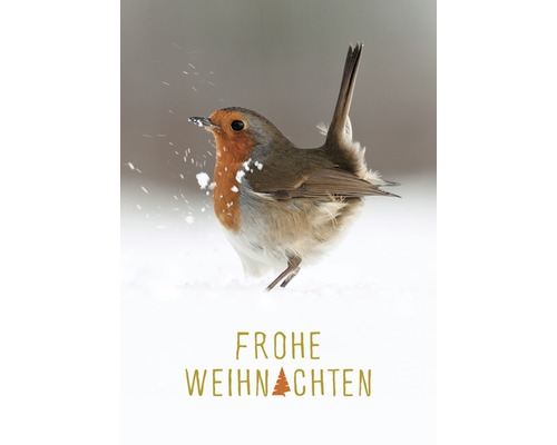 Weihnachtspostkarte Frohe Weihnachten Vogel 10,5x14,8 cm