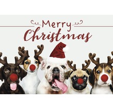 Weihnachtsgrußkarte mit Hunden als Rentiere verkleidet