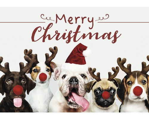 Carte de Noël Merry Christmas Dog