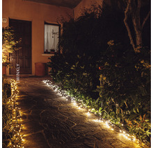 Dekorative Lichterkette beleuchtet einen Gartenweg am Abend.