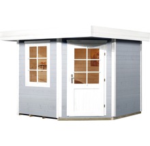 Abri de jardin avec fenêtre et porte