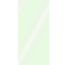 Duschrückwand SCHULTE DecoDesign Unifarbe light grün Hochglanz 210 x 100 cm D19010213 765-thumb-1