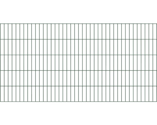 Panneau rigide double fil ALBERTS 6/5/6 200 x 100 cm vert