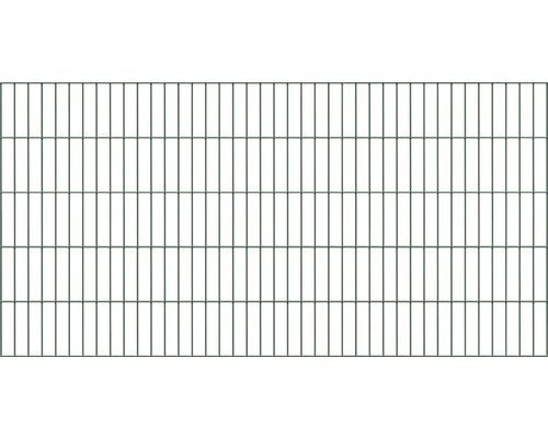 Panneau rigide double fil ALBERTS type 6/5/6 200 x 100 cm vert Clôture en treillis métallique à double fil