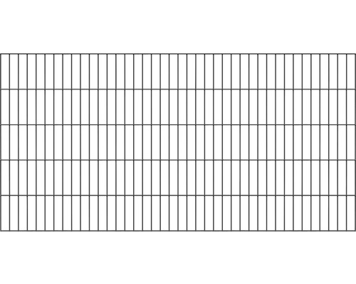 Panneau rigide double fil ALBERTS 6/5/6 200 x 100 cm anthracite