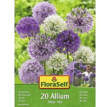 Verpackung von 20 Zierlauch Blumenzwiebeln der Sorte ''Deco'' Mix von FloraSelf