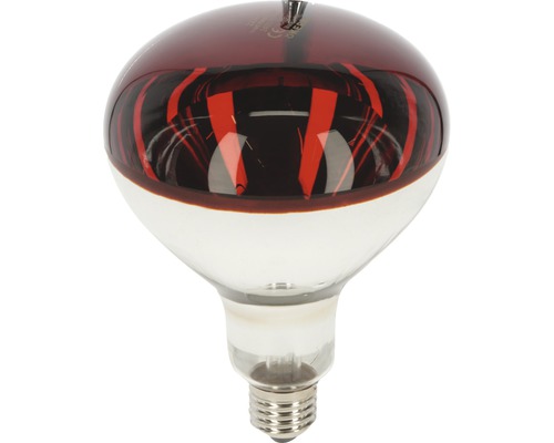 Ampoule infrarouge KERBL verre dur 150 W, ampoule chauffante rouge culot E27