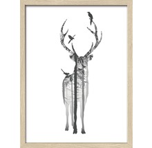 Gerahmtes Bild Deer With Birds 33x43 cm-thumb-1