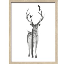 Gerahmtes Bild Deer With Birds 33x43 cm-thumb-2