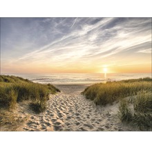 Leinwandbild Weg zum Strand 57x77 cm