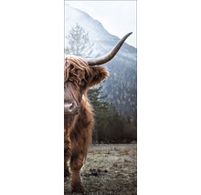 Nahaufnahme eines Hochlandrindes vor einer Berglandschaft
