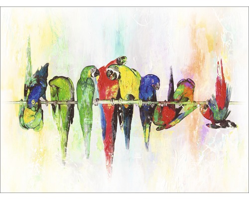 Image sur toile Colourful Parrots 57x77 cm