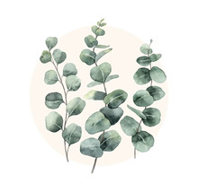 Glasbild Eucalyptus Branches l 30x30 cm GLA2096