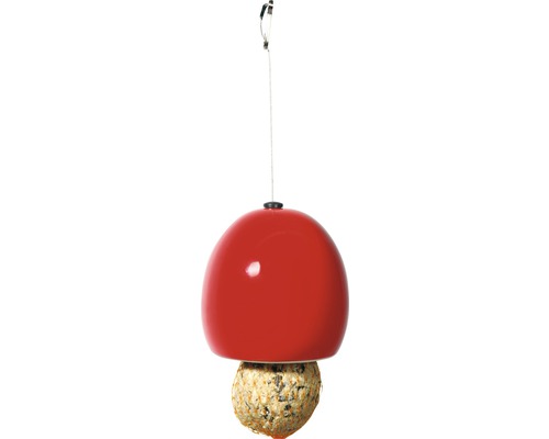 Mangeoire à oiseaux avec suspension et boule de graisse
