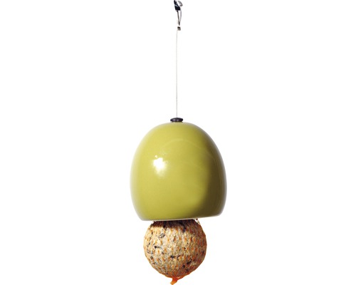 Mangeoire à oiseaux avec boule de graisse pour oiseaux