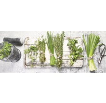 Glasbild Ingredients VI 125x50 cm GLA2106