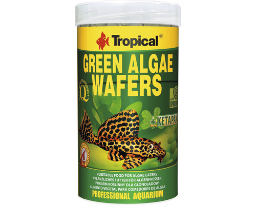 Pastilles Tropical Green Algae Wafers 250 ml nourriture végétale pour mangeurs d'algues