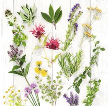 Tableau en verre Herbs & Flowers 30x30 cm-thumb-0