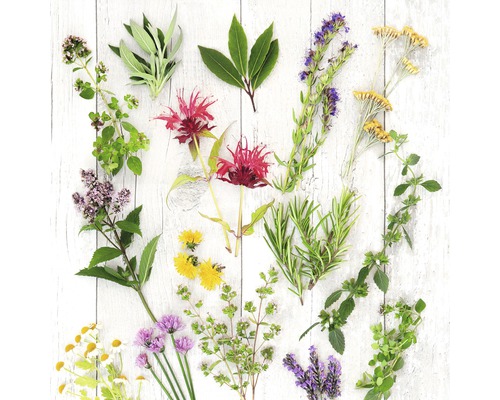 Tableau en verre Herbs & Flowers 50x50 cm-0
