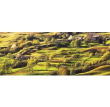 Paysage vallonné avec maisons et arbres