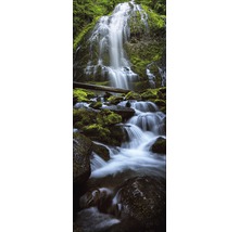 Cascade sur des rochers couverts de mousse dans la forêt