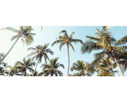Tableau en verre Palms On Beach II 30x80 cm