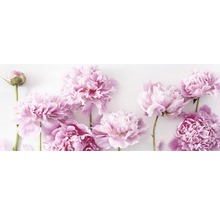 Tableau en verre Peonies I 50x125 cm