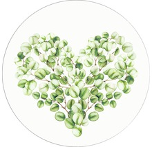 Illustration en forme de coeur de branches d''eucalyptus sur fond blanc