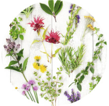 Tableau en verre rond Herbs & Flowers Ø 50 cm-thumb-0