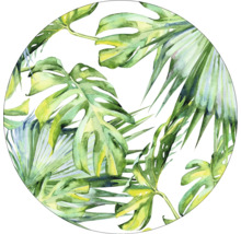 Autocollant décoratif avec des feuilles tropicales