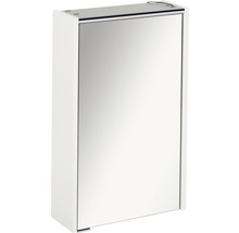 Spiegelschrank FACKELMANN Denver 42 x 16 x 68,5 cm weiß 1-türig LED IP 20