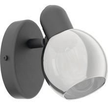 Spot patère acier/verre 1 ampoule hxL 105x65 mm Pollica noir/transparent-thumb-1