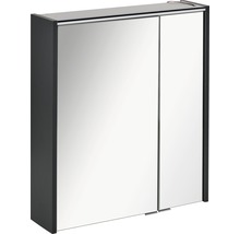 Armoire de toilette FACKELMANN Denver 60 x 16 x 68,5 cm anthracite 2 portes led IP 20