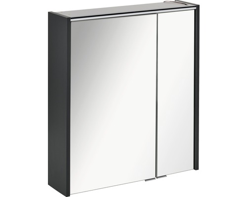 Armoire de toilette FACKELMANN Denver 60 x 16 x 68,5 cm anthracite 2 portes led IP 20