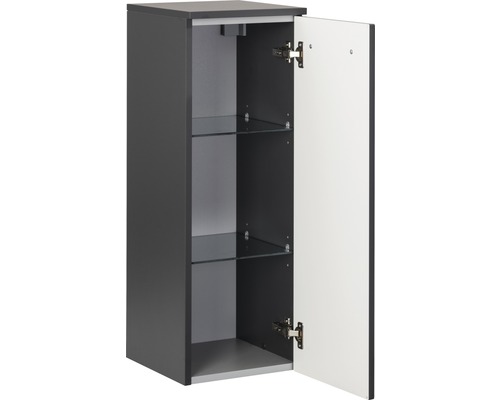 Armoire suspendue avec porte ouverte et deux étagères en verre