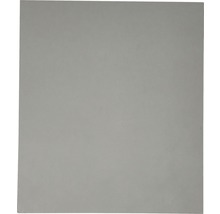 Panneau multiplis bouleau gris clair 2500x1250x18 mm-thumb-3