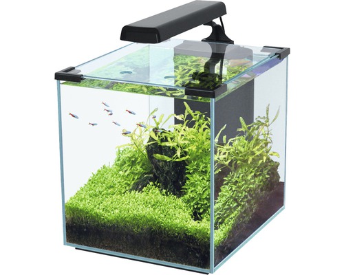 Acheter nano aquarium 20l complet lampe, pompe, filtre, chauffage - 2  disponibles