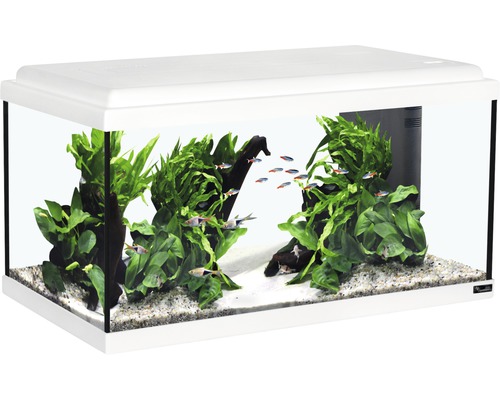 Aquarium Advance LED sans sous-meuble, blanc