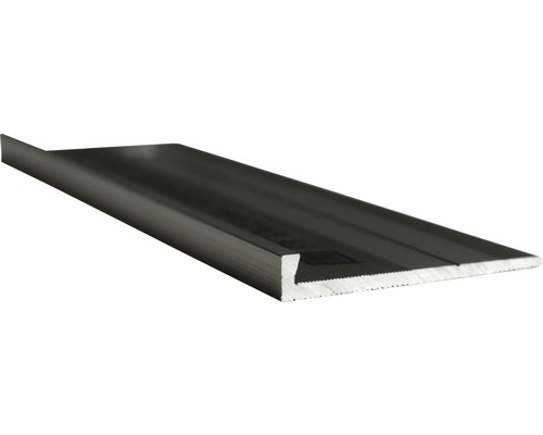 Barre profilée profilé de finition Slate-Lite F-Line acier 2,5 m