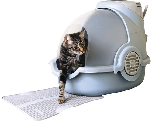 Chat dans une litière fermée avec tapis