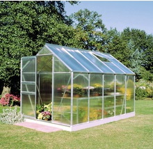 Serre avec plantes dans le jardin