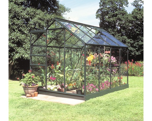 Serre en verre et métal avec plantes et fleurs dans le jardin.