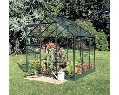 Gewächshaus Halls Popular 66 3,8 m² Blankglas 3 mm 193x195 cm grün Gewächshaus mit Pflanzen auf Rasenfläche