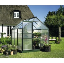 Gewächshaus im Garten mit Pflanzen
