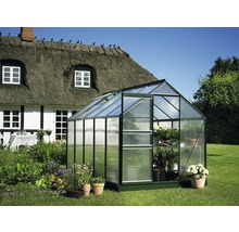 Gewächshaus im Garten mit Pflanzen in Töpfen